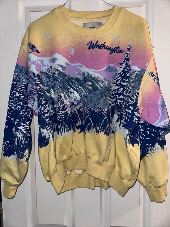 Urban Outfitters Tops - Urban Outfitters Yellow, Pink, Navy Scenic Sweatshirt